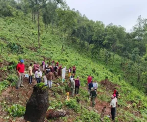 बहुउपयोगी प्रजातिका बिरुवा रोपण