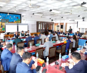 भोटेकोशी बाढीपछिको पुनर्निर्माण विपद् धान्न सक्ने हुनुपर्छ: सांसदहरु