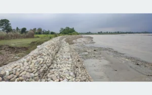 तटबन्धले सुरक्षित दोधारा चाँदनीको कुतियाकवर