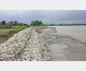 तटबन्धले सुरक्षित दोधारा चाँदनीको कुतियाकवर