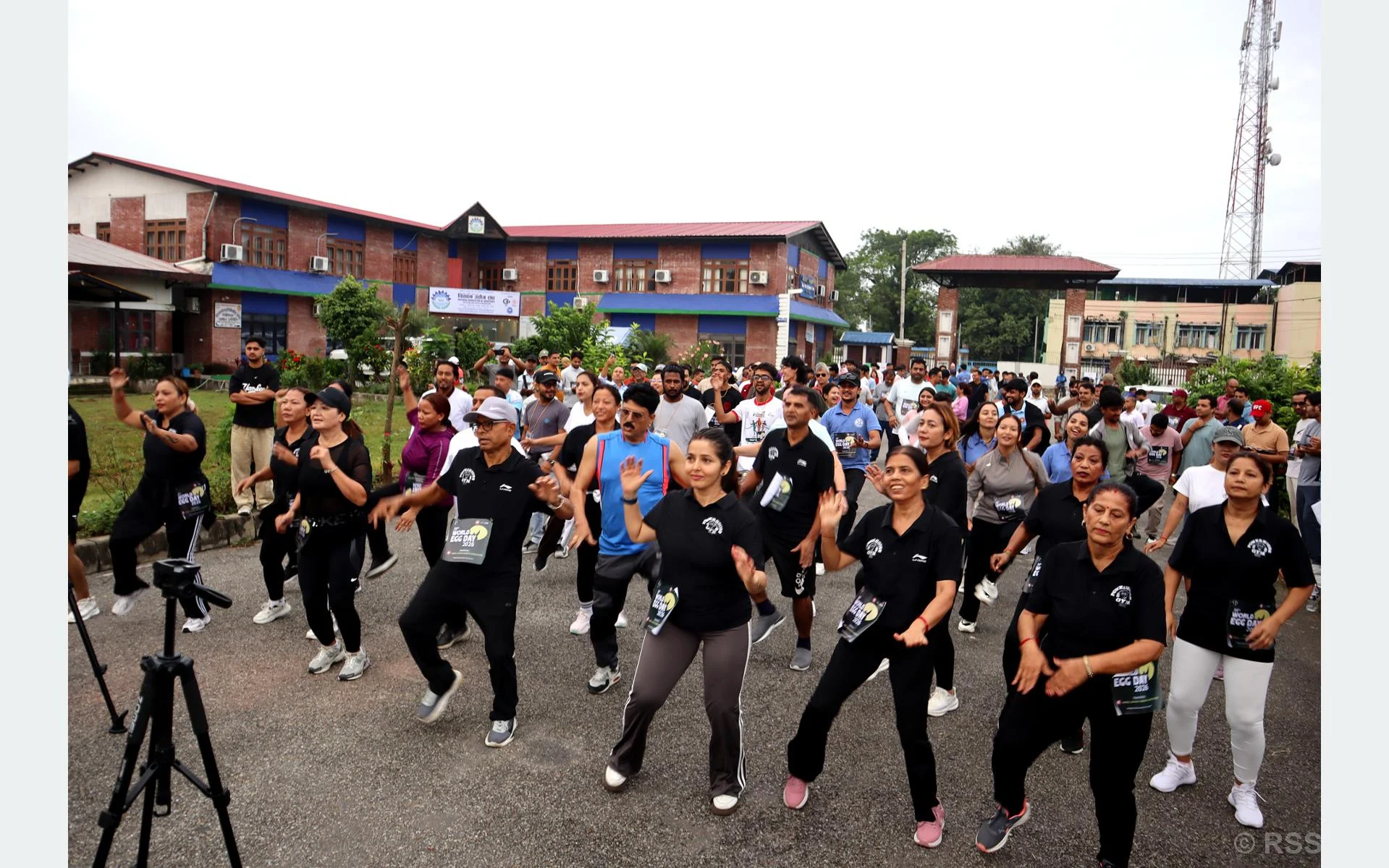 आज विश्व अण्डा दिवसः नेपालमा ‘जुम्बा डान्स’ र ‘एक वाक’कार्यक्रम