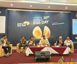 सन्दर्भः विश्व ‘अण्डा’ दिवस,
अण्डाको उत्पादन र खपत बढाउन आवश्यक
