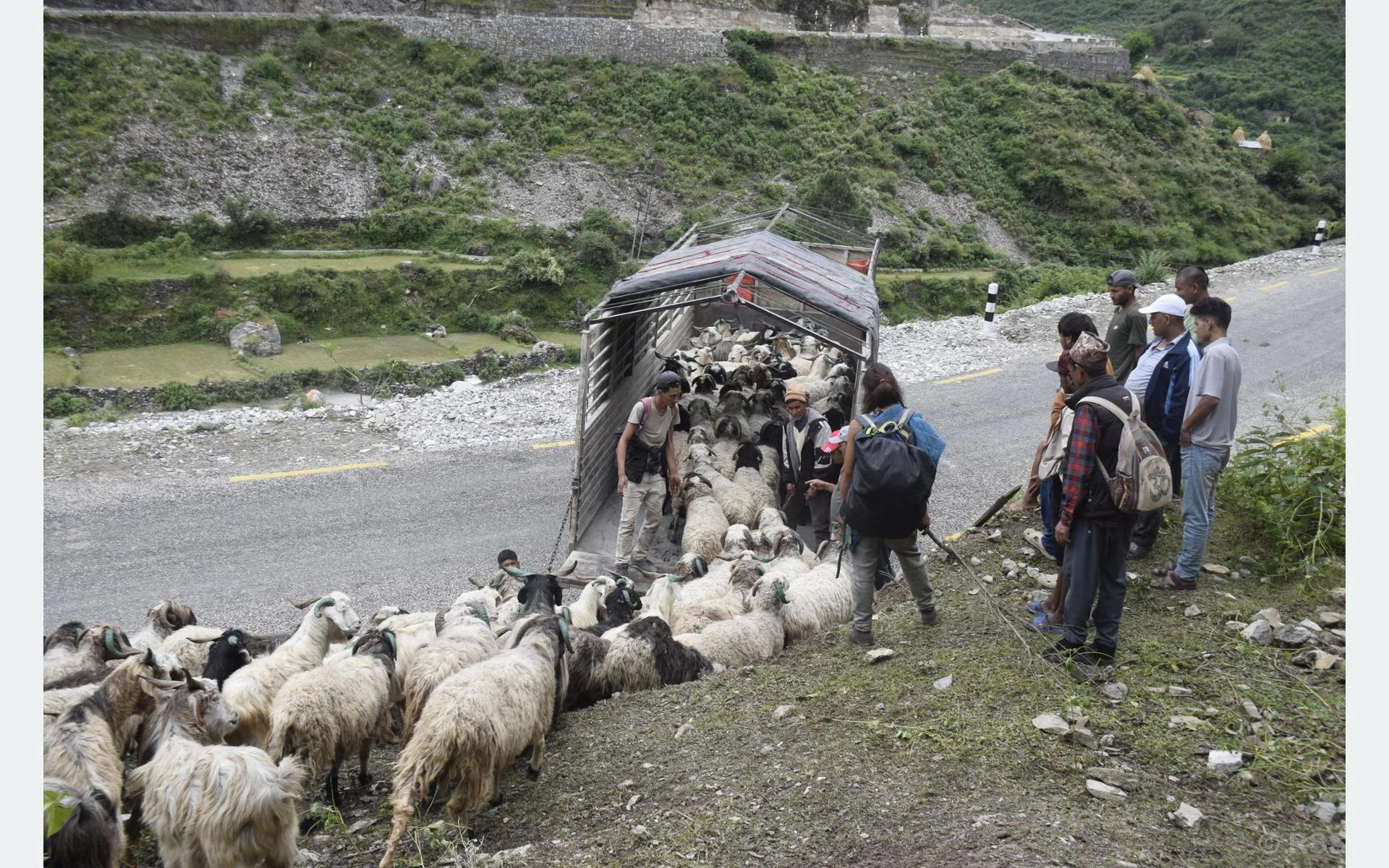 सहरको स्वादका लागि छुट्छ हिमालको दसैँ–तिहार