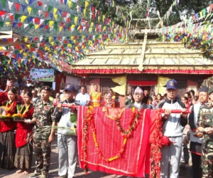 सरकारकै तर्फबाट विन्ध्यवासिनीमा विधिपूर्वक भित्राइयो फूलपाती