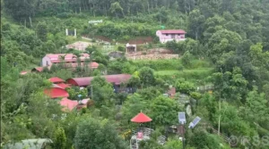 जडीबुटी उद्यान अवलोकन गर्न तनहुँको झाङ्गाझोली