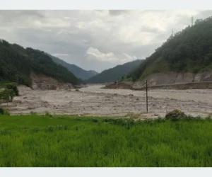 धानखेत बगरमा परिणत
