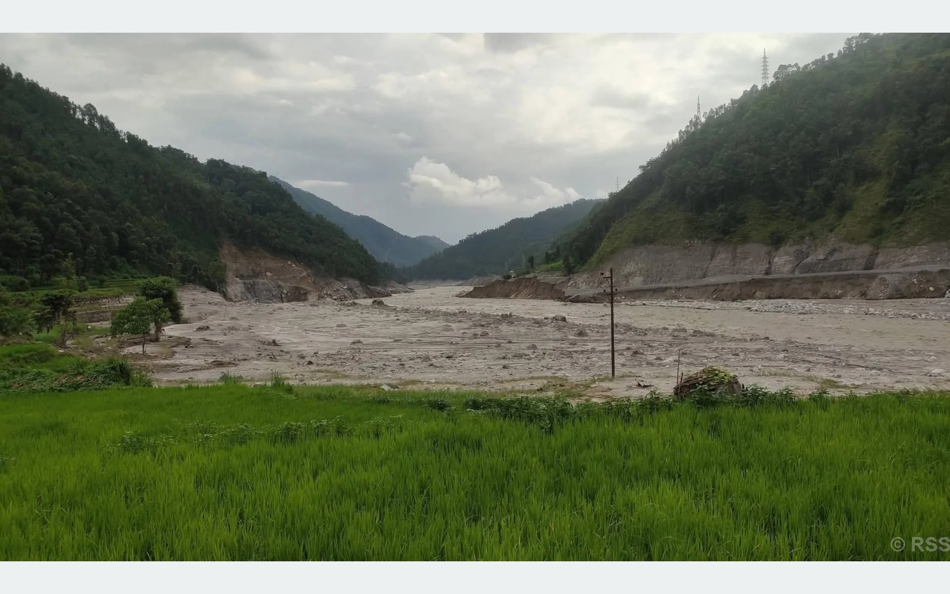 धानखेत बगरमा परिणत