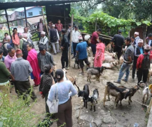 स्थानीय बीउ संरक्षणका लागि धनकुटामा जिन बैङ्क स्थापना