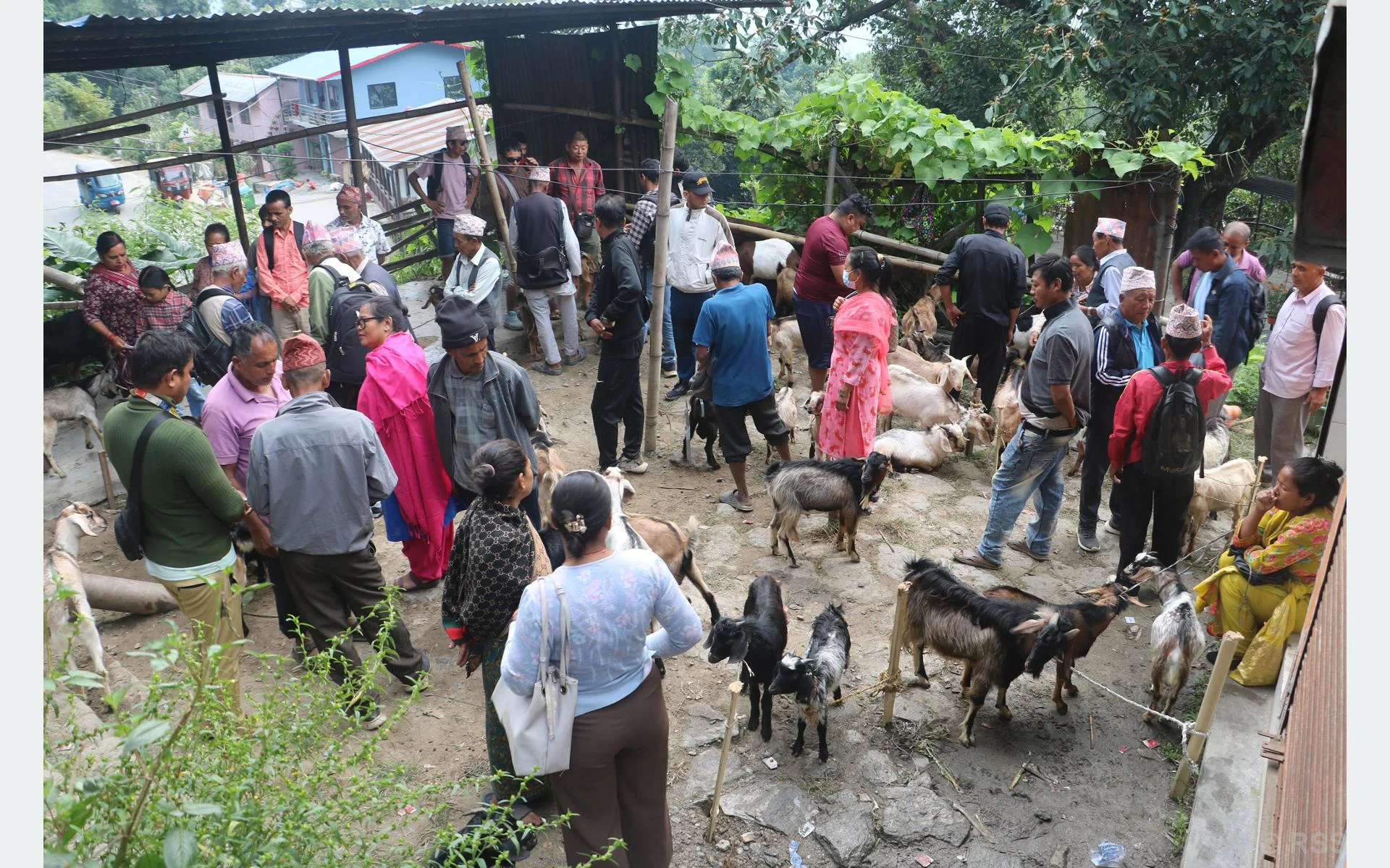 स्थानीय बीउ संरक्षणका लागि धनकुटामा जिन बैङ्क स्थापना