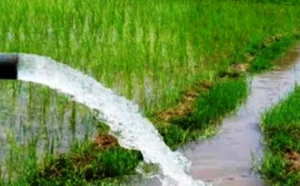सिँचाइ गर्न विद्युत् सेवा विस्तार