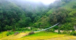 खोलामा पुल बन्यो, जाने बाटो छैन