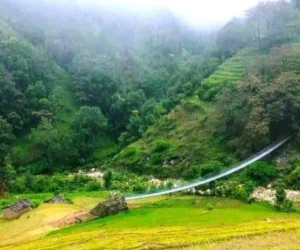 खोलामा पुल बन्यो, जाने बाटो छैन
