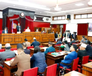 राष्ट्रिय विधि विज्ञान प्रयोगशाला विधेयक अघि बढाउन सांसदको जोड