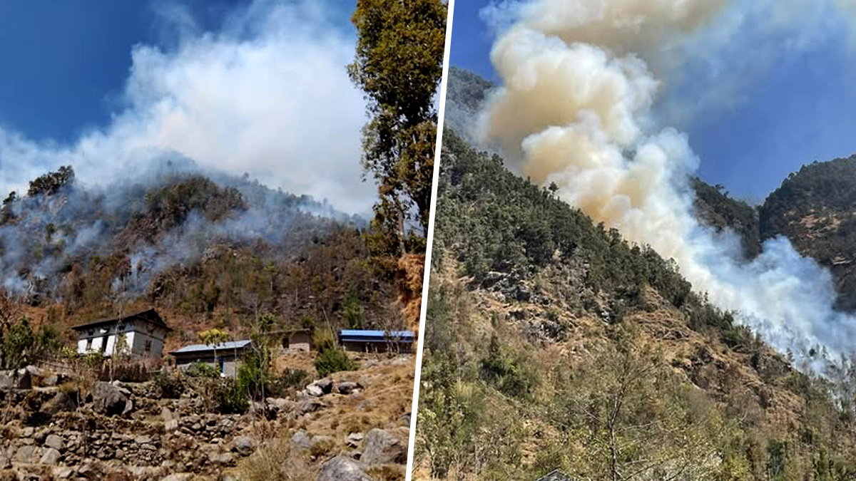 नेपालमा वन डढेलोले ५ सय मिलियन टन कार्बन र जैविक विविधतामा खतरा