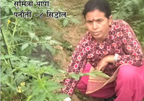 मुस्कुराएका गोलभेडा, मख्ख सुमित्रा