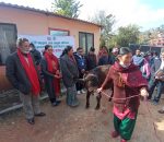 १५ वटा पाडी वितरण गर्दै पनौतीमा यो वर्ष पनि भैँसी संरक्षण अभियानको शुभारम्भ, पनौतीमा प्रतिदिन ४५ हजार लिटर बढी दुध उत्पादन