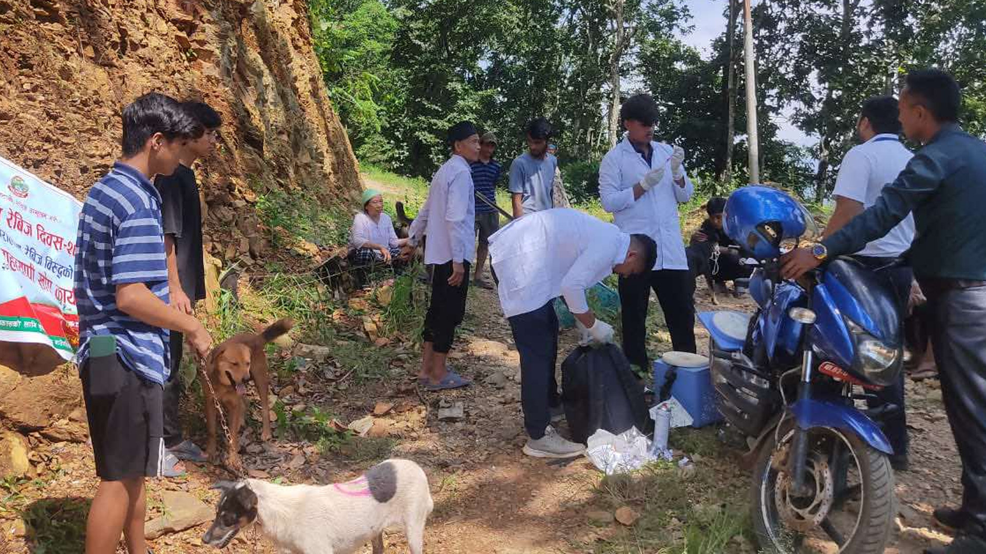 dog rabbies सिद्धलेकका ७५ वटा कुकुरलाई एन्टिरेविज खोप लगाइयो