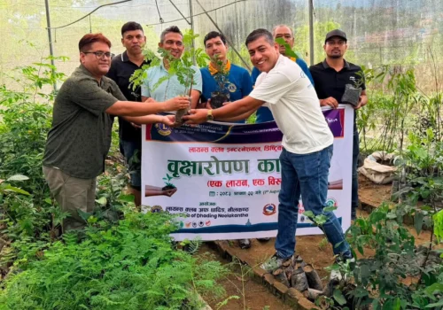 लायन्स क्लब अफ धादिङ नीलकण्ठको ‘एक लायन, एक बिरुवा’ अभियान