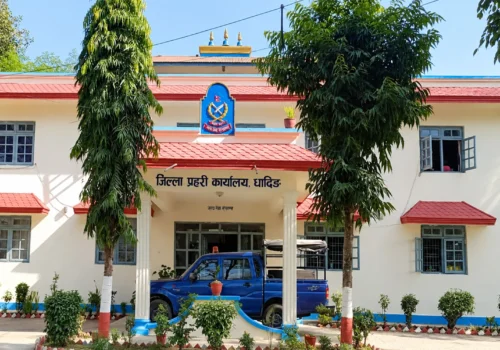 धादिङमा एक महिनामा ५७ फरार प्रतिवादी पक्राउ