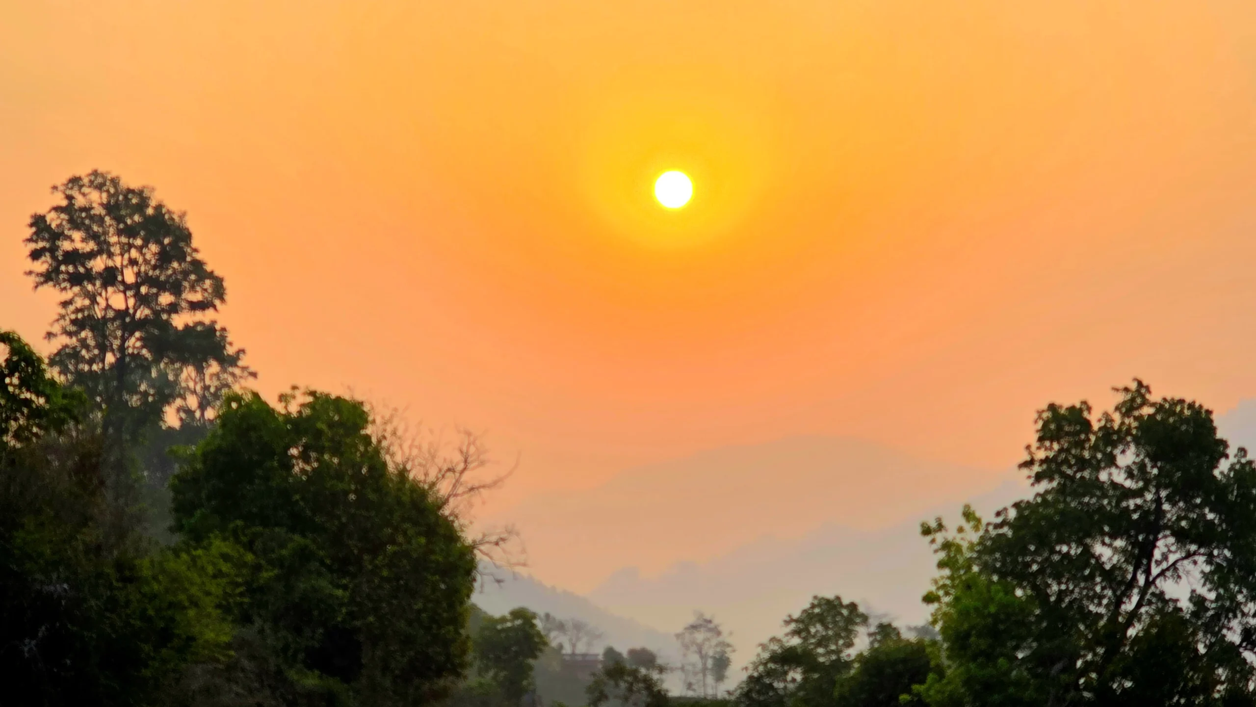 नयाँ वर्ष हर्षोल्लासका साथ मनाइँदै