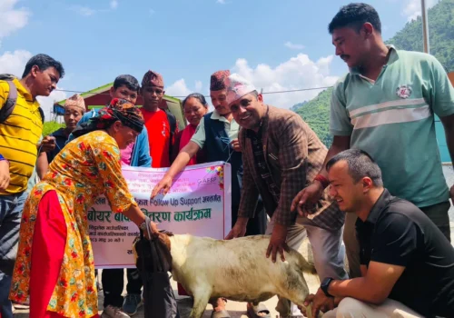 फ्यानसेपद्वारा सिद्धलेकका किसानलाई बोयर बोका वितरण