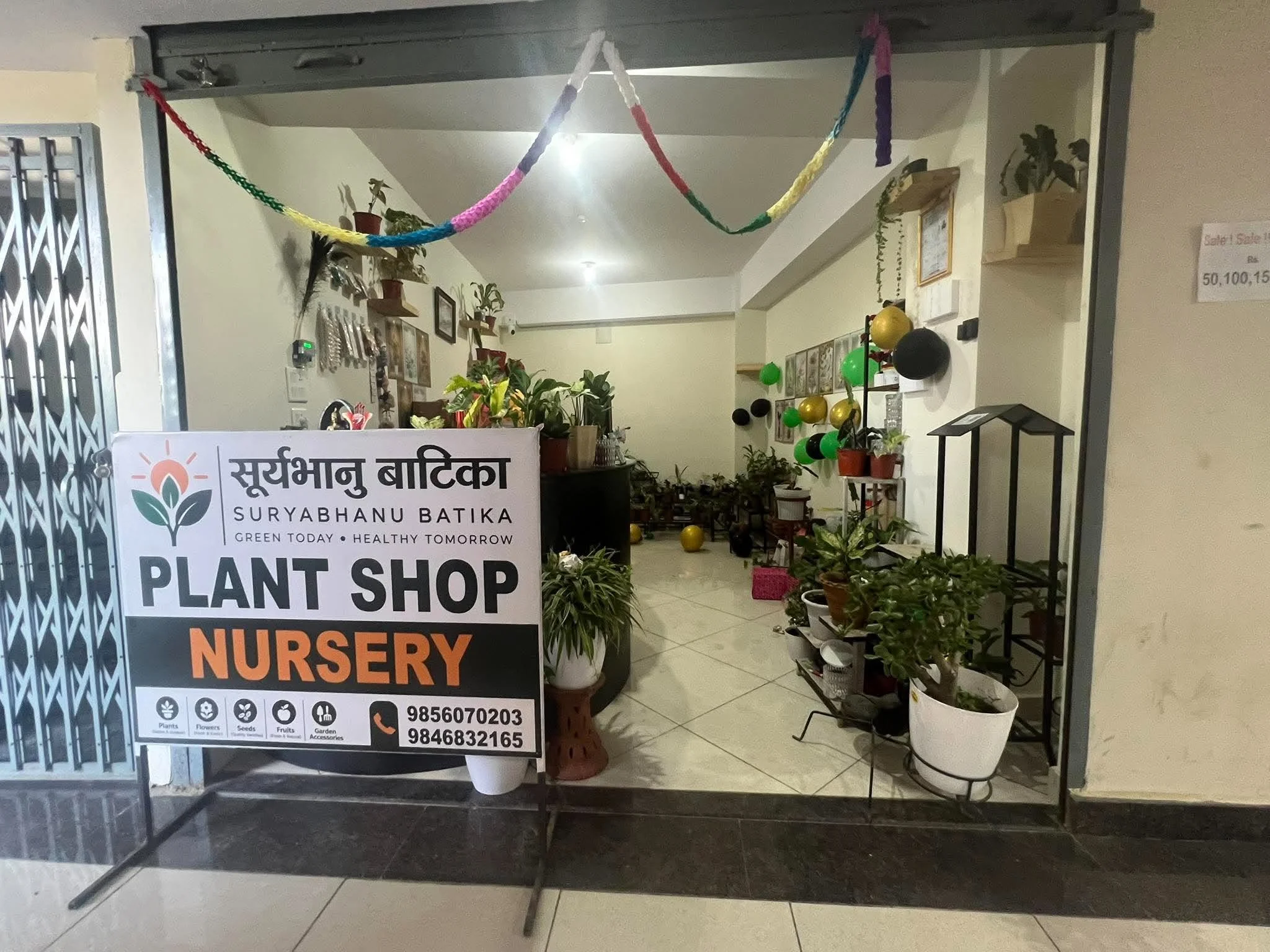 सूर्यभानु बाटिका नर्सरी एण्ड गिफ्ट सपमा दशैँ–तिहारको विशेष अफर, हरेक सामानमा २५ प्रतिशतसम्म छुट